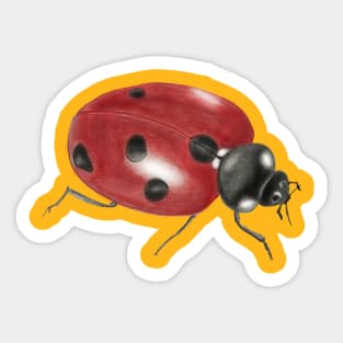 Ladybug Sticker